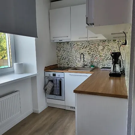 The Entire Comfortable Apartment